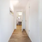 Südkap B-07 Pelzerhaken